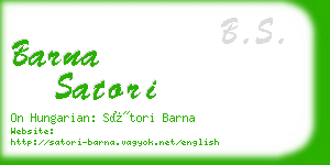 barna satori business card